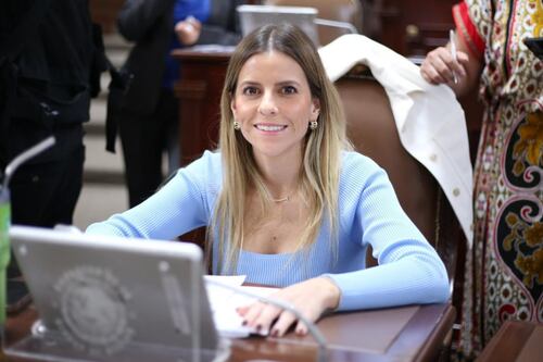 Diputada Elvia Estrada llama a IP y sociedad civil a coordinar esfuerzos para combatir cambio climático