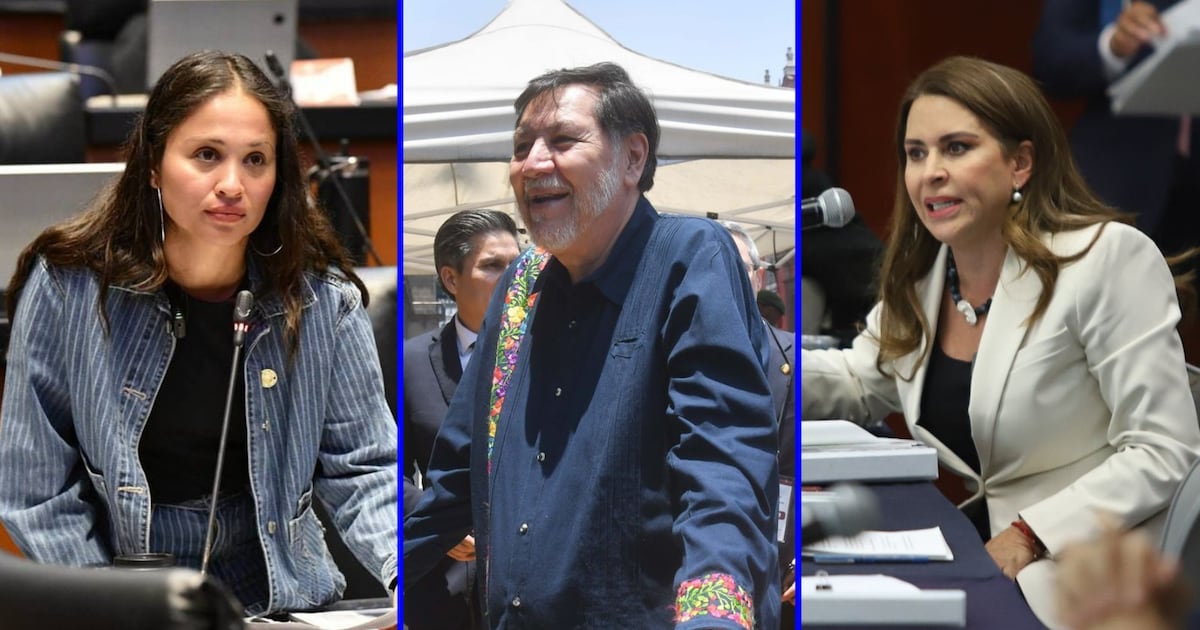 Tensión en el Congreso: Declaratoria de constitucionalidad de reformas judiciales y contra intervención extranjera termina en fuertes altercados