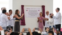 Gusano barrenador en México y EU: Sheinbaum inaugura planta de moscas estériles para combatir al parásito
