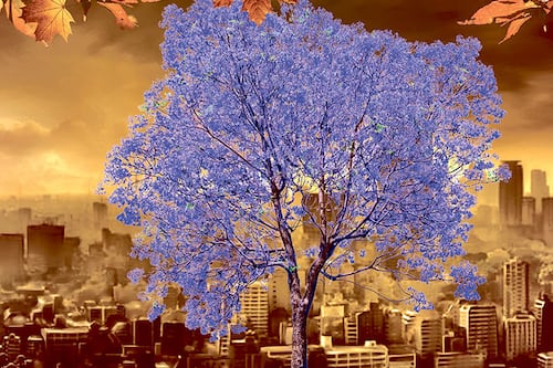 La primavera que parece otoño