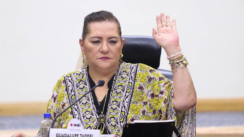 ¿Taddei enfrentará cargos tras renunciar al INE? Monreal advierte que deberá responder por irregularidades
