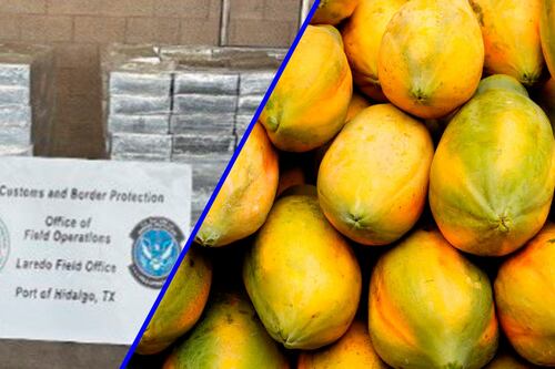 Escondida en papayas: Así traficaban metanfetamina de México a Texas por el Puente Internacional de Pharr