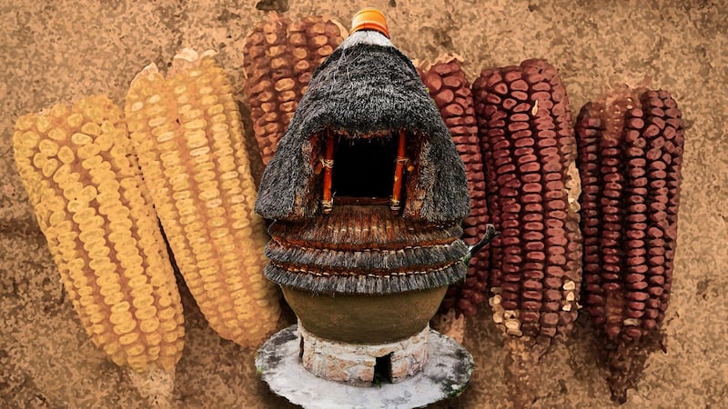 Cuexcomate: el granero que guarda la memoria del maíz