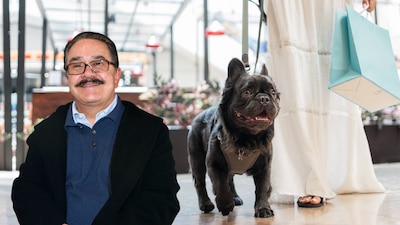 Pedro Sola hizo referencia a cuando entró un perro al mismo restaurante donde él estaba. (Foto: Cuartoscuro/Shutterstock)