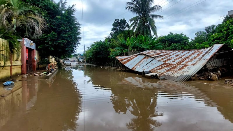 ¿Qué es la leptospirosis, la enfermedad que tiene a Quintana Roo en alerta y se da en temporada de lluvias?