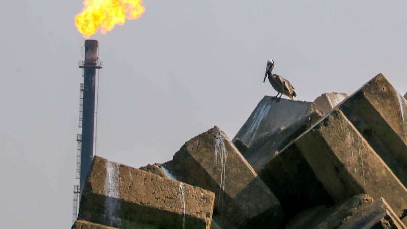 Exportaciones de crudo se desploman 44.6% en enero; quedan por debajo de la meta de Hacienda para enero