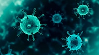 El COVID-19 sigue matando: Cada cuatro minutos muere una persona por el virus