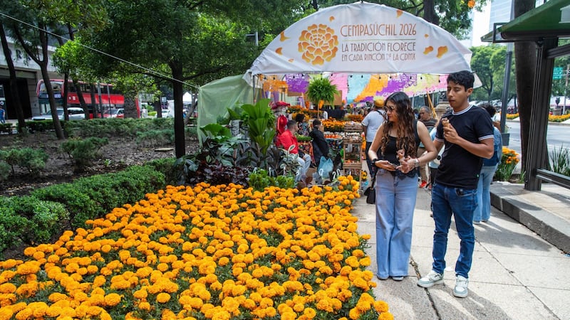 Clima en CDMX y Edomex: Miércoles fresco y máxima de 17°C para el 21 de octubre