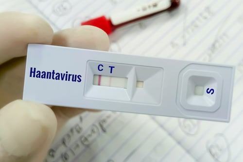 Brote de hantavirus: ¿Qué sabemos de la víctima mortal que bajó del crucero y tomó un avión?
