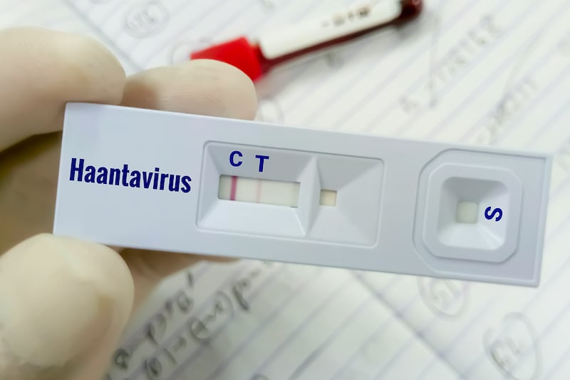 Brote de hantavirus: ¿Qué sabemos de la víctima mortal que bajó del crucero y tomó un avión?