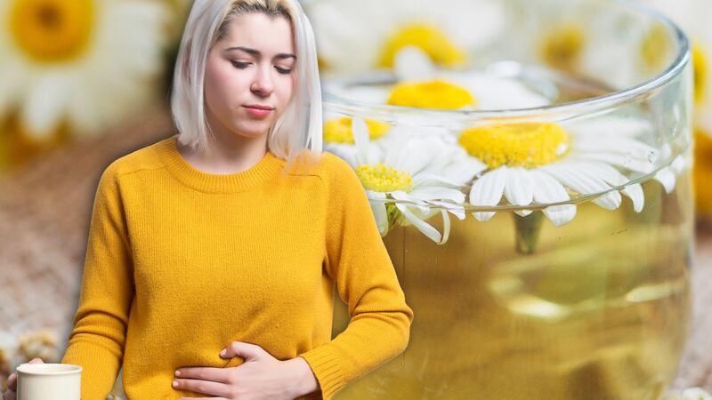 ¿Cuál es el efecto del té de manzanilla en el estómago?