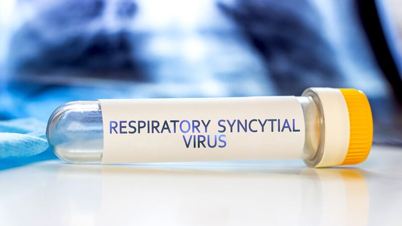 Janssen, GSK, Moderna o Pfizer: ¿Quién tiene la vacuna más efectiva contra virus sincitial?