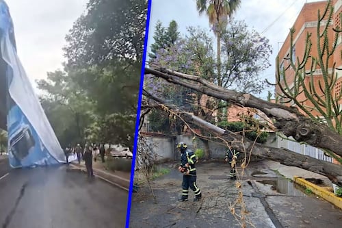 (VIDEO) Vientos ‘hacen de las suyas’ en CDMX: Derriban árboles y tiran espectacular en Periférico Sur