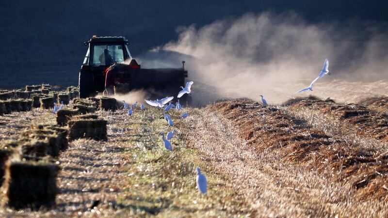 Legisladores y empresarios alistan cambios a ley de trabajo de menores en el campo