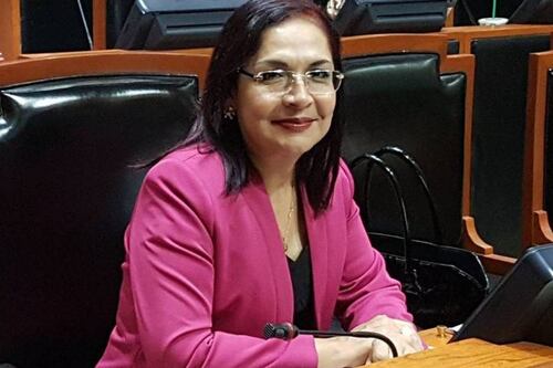 Diputada nepotista da de baja a su hijo