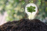 Energías renovables: Emprendedores e inversionistas mexicanos las ven atractivas