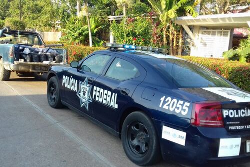 PF asegura en Oaxaca 22 mil 800 huevos de tortuga marina