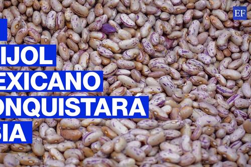 El frijol, la uva y el chile de Zacatecas llegarían a restaurantes asiáticos