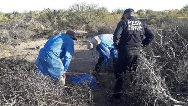 Madres Buscadoras de Sonora hallan al menos 18 cuerpos en fosas clandestinas