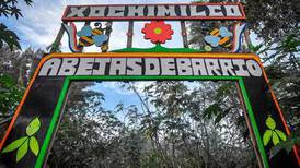 ¿Qué hacer en Xochimilco? Algunos tips