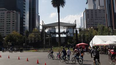 ¿Ya votaste? CDMX abre consulta para elegir al reemplazo de la Palma de Reforma