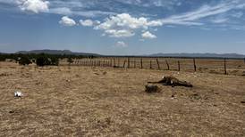 Sequía en Durango está en alerta roja: Ganadería y agricultura viven crisis extrema