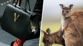 Versace deja de usar la piel de canguro en sus colecciones ante los incendios en Australia 