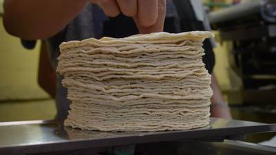 A juntar los pesitos: Precio de tortilla tiene alza considerable en 13 ciudades
