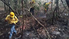 Fuego en Los Petenes consumió 500 hectáreas, pero manglar se salva