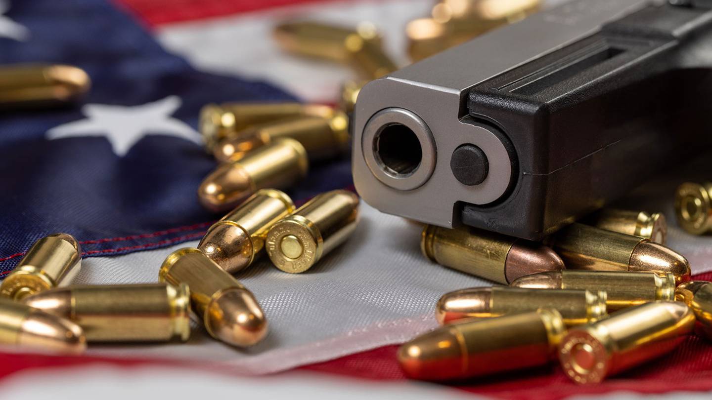 Se 'dispara' la tasa de muerte por armas de fuego al 35% en EU, según los  CDC – El Financiero