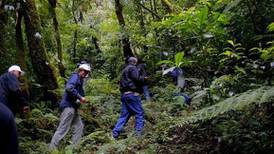 Imperativo impulsar desarrollo forestal sustentable: Aristóteles Vaca Pérez
