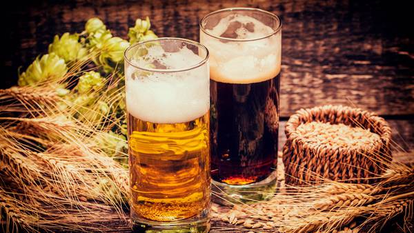 Crisis de agua pone en riesgo la mitad de la producción nacional de cerveza artesanal