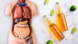 ¿Qué órganos se dañan si bebes mucha cerveza?