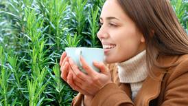 ¿Qué enfermedades trata el té de romero?