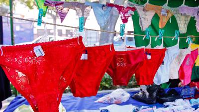 Cero tentaciones: Quintana Roo busca prohibir ropa interior en tendederos –  El Financiero