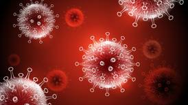 ¡Virus, cálmense por favor! Perú emite alerta epidemiológica ante brote de influenza