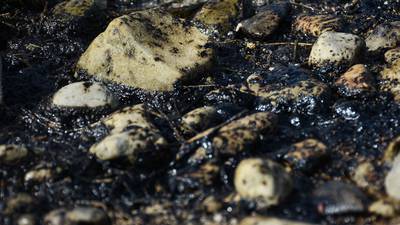FOTOGALERÍA: Derrame de aceite llega a playas de Campeche... mientras Pemex minimiza el impacto