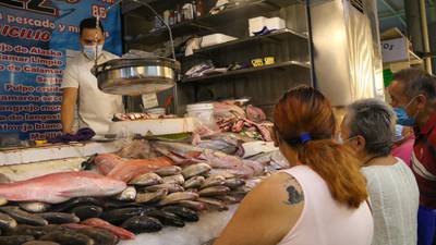 ¿Kilo de pescado a 30 pesos en CDMX? Profeco recomienda consumir lisa