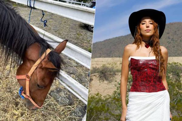 Majo Aguilar, cantante mexicana, busca heredar uno de los caballos de Elena Larrea: ‘Lo prometí' 