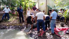 Especialistas apoyan rescate de manatí en Tabasco