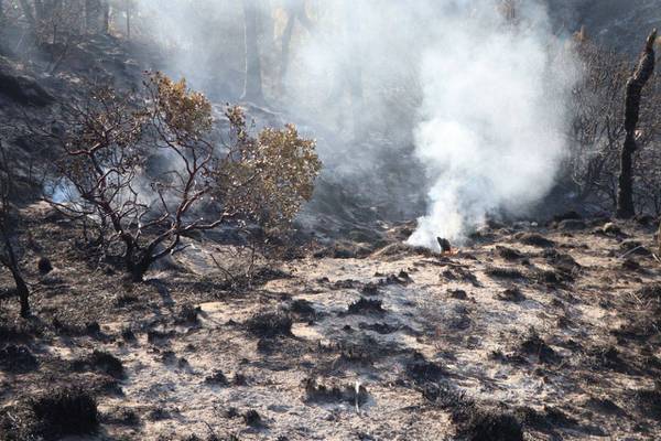 Vecinos de Libres colapsan la Puebla-Xalapa; exigen atención inmediata a un incendio forestal
