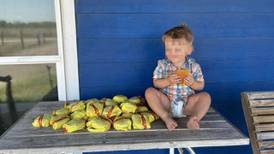 ‘A nadie en nuestra familia le gustan’: Niño de 2 años pide por accidente 31 hamburguesas 